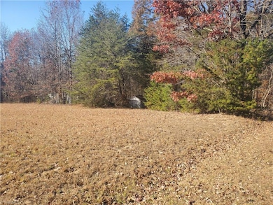 2630 Carl Allred Rd, Franklinville, NC 27248 - photo 2