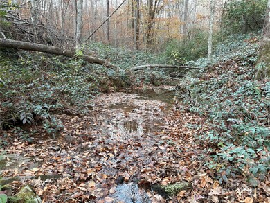 0 Polk County Line Rd unit CAR4322690, Rutherfordton, NC 28139 - photo 2