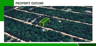 Messer Rd, Saratoga, TX 77585 - photo 3