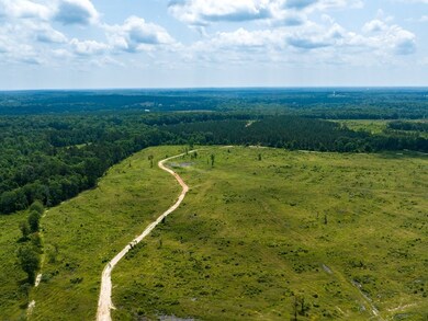 3486 Homer Alto Rd, Pollok, TX 75969 - photo 6