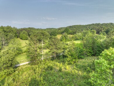 0 Murphy Hwy unit 402757, Mineral Bluff, GA 30559 - photo 5