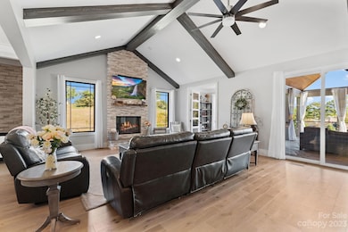 4 Magnolia Hill Ct, Asheville, NC 28806 - photo 4