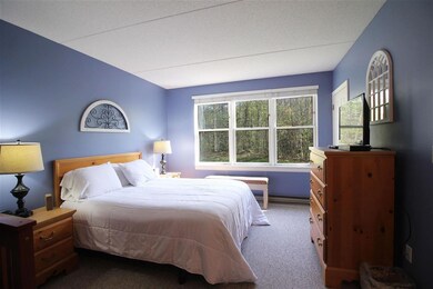 28 Packard Rd S unit 108, Waterville Valley, NH 03215 - photo 4
