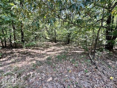 2 Sherwood Oaks Ln, Jonesboro, AR 72404 - photo 5