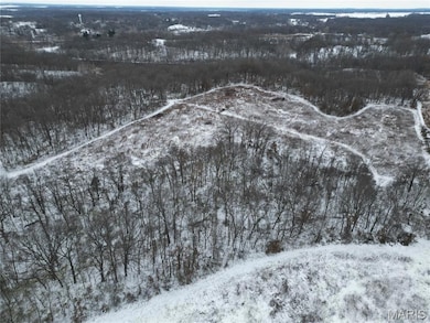 1965 Stringtown Rd, Shoal Creek Township, IL 62086 - photo 5