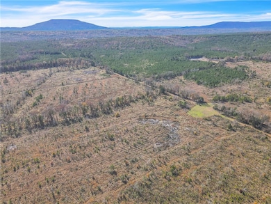 0 Tate Rd, Booneville, AR 72927 - photo 7