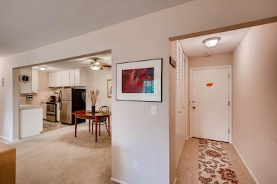 Entryway with large closet