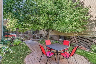 10 N Ogden St unit 5, Denver, CO 80218 - photo 6