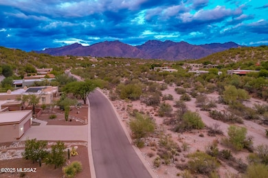 4067 N Wilmot Rd, Tucson, AZ 85750 - photo 7