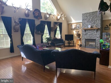 302 Markham Farm Rd, Front Royal, VA 22630 - photo 7