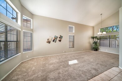 893 Constitution - 03Living