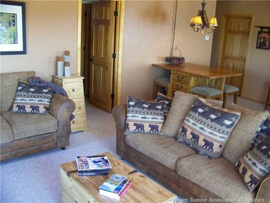 809 Ute Trail, Como, CO 80432 - photo 4