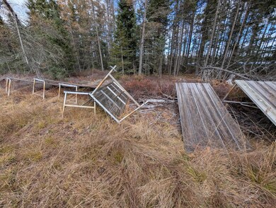 VL Slough Lake Rd, Forsyth Township, MI 49841 - photo 7