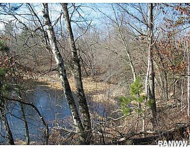 Lot 5 Rainbow Ln, Danbury, WI 54830 - photo 6