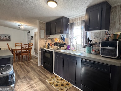 100 Lakeview Dr, Colbert, GA 30628 - photo 6