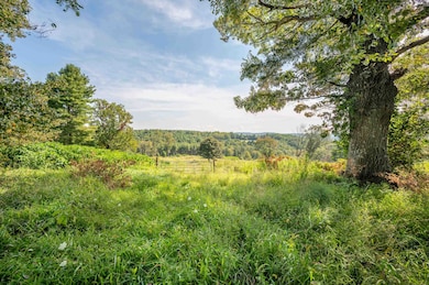 0 Pinnacle Ln, Meadows of Dan, VA 24120 - photo 5