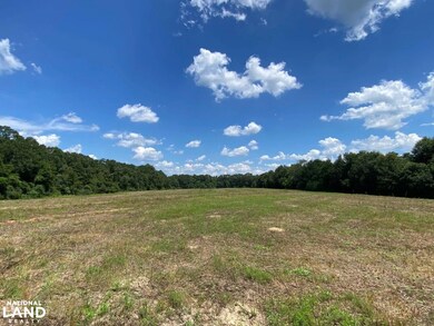 0 Co Rd 10, Samson, AL 36477 - photo 6