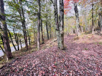 33213 Veterans Memorial Hwy, Terra Alta, WV 26764 - photo 6