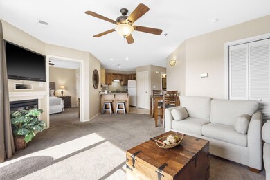 302 Stillwater Trail unit F222, Branson, MO 65616 - photo 5