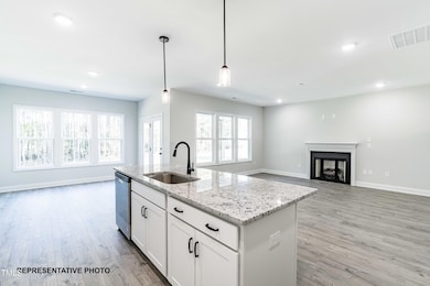 218 Fish Camp Dr, Wendell, NC 27591 - photo 4