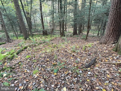 1158 Laurel Grove Rd, New Bloomfield, PA 17068 - photo 6