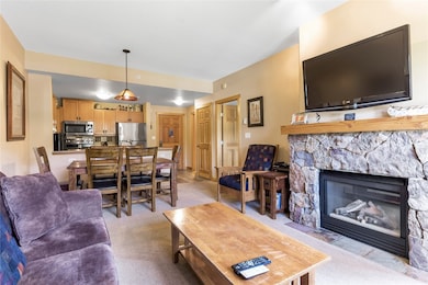 910 Copper Rd unit 219, Frisco, CO 80443 - photo 3