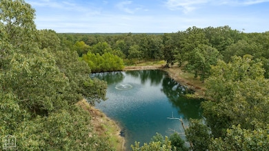 14 Law 351, Saffell, AR 72572 - photo 4