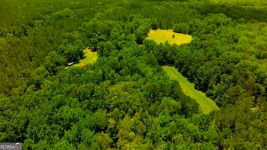 1230 Agricola Rd, Mitchell, GA 30820 - photo 3