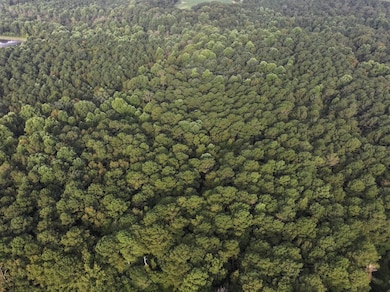 Shine Rd unit LotWP001, Snow Hill, NC 28580 - photo 2