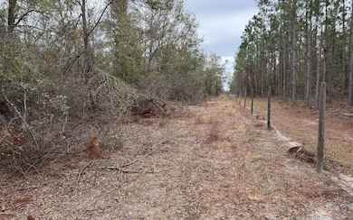 TBD SW 57th Trail, Jasper, FL 32052 - photo 6