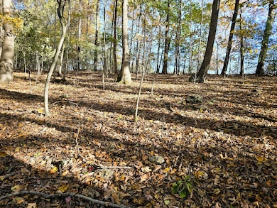 4acs Reid Rd, Lexington, VA 24450 - photo 7