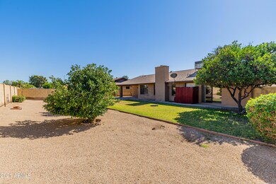 916 E Rockwood Dr, Phoenix, AZ 85024 - photo 5