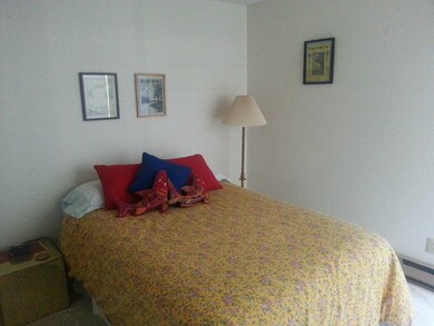 221 Warbass Way unit C110, Friday Harbor, WA 98250 - photo 6