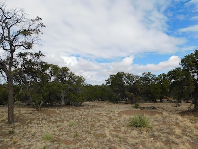 174 Agua Fria Loop, Quemado, NM 87829 - photo 3