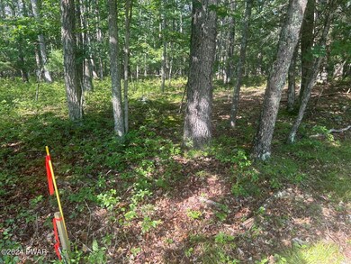 693 Club House Dr, Lackawaxen Township, PA 18428 - photo 4