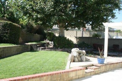 Backyard View Showing the Grass Area