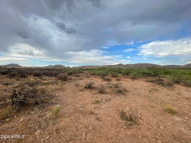 IMG_5107