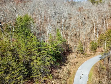 0 Wildcat Hollow Rd unit 25658914, New Tazewell, TN 37825 - photo 7