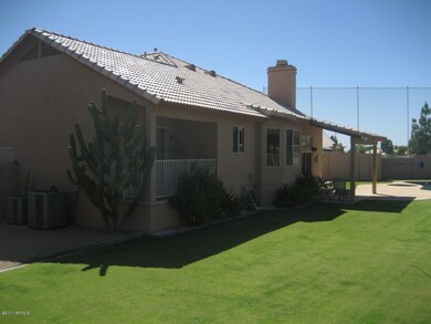GRASSY BACKYARD