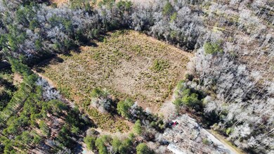 TBD Mulberry St, Conway, SC 29527 - photo 3