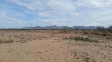 12802 Green Cactus 3