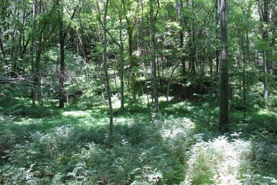 SOME OF THE WOODED AREAS