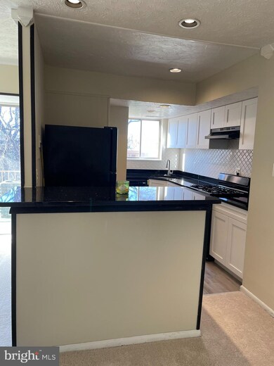 3708 N Rosser St unit 103, Alexandria, VA 22311 - photo 5