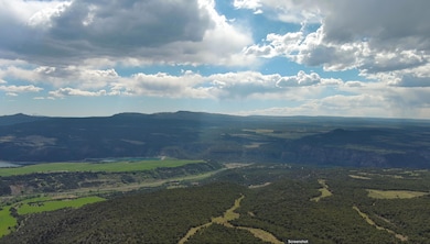 0 County Road 4 unit 43905, Ridgway, CO 81432 - photo 7