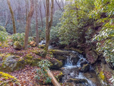 2001 Little Ellijay Rd, Franklin, NC 28734 - photo 5