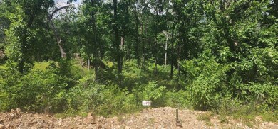 Lot 7 Restore Ridge, Harrison, AR 72601 - photo 5
