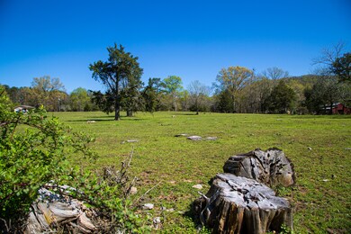 Field 2