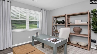 466 Leathertree Ln, Blythewood, SC 29016 - photo 4