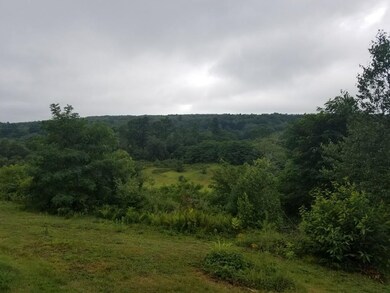 14 Madden Rd unit 14, West Brookfield, MA 01585 - photo 7