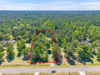 6715 S Trace Dr, Magnolia, TX 77354 - photo 4